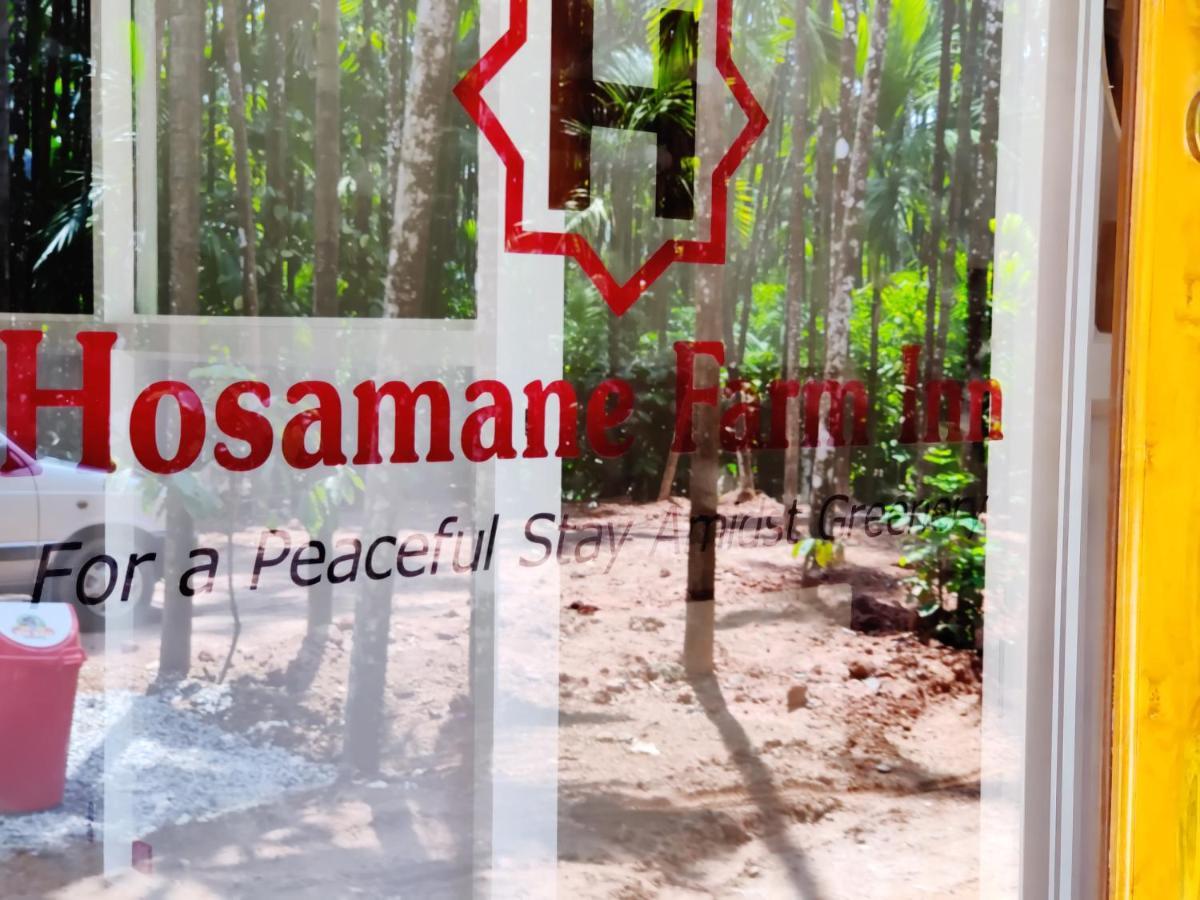 Hosamane Farm Inn Sringeri Zewnętrze zdjęcie