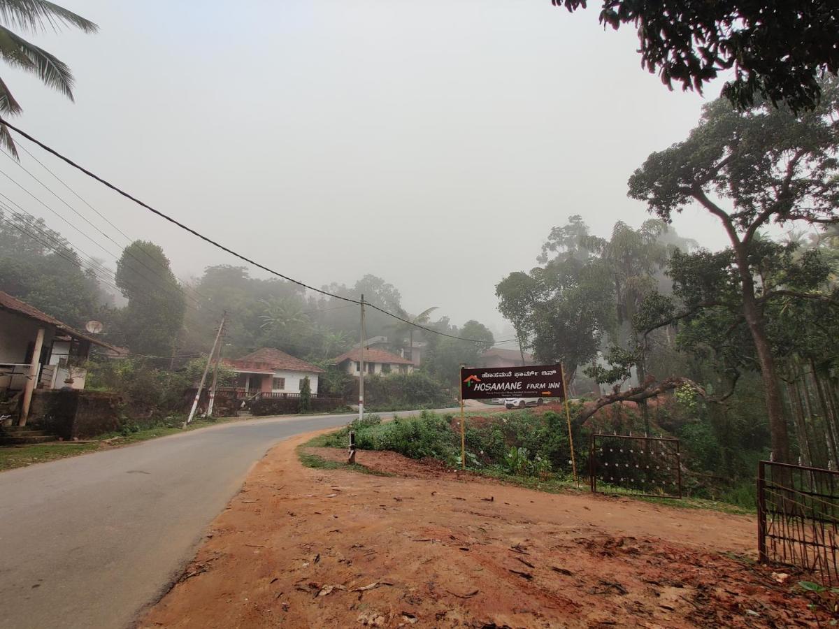 Hosamane Farm Inn Sringeri Zewnętrze zdjęcie