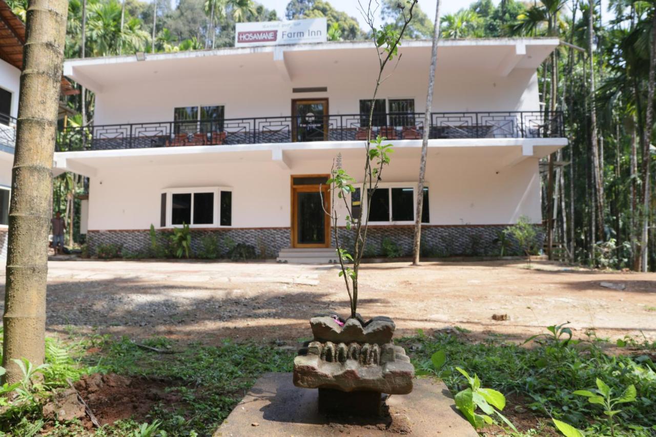 Hosamane Farm Inn Sringeri Zewnętrze zdjęcie