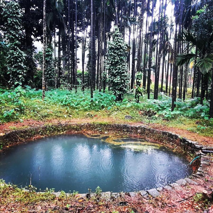 Hosamane Farm Inn Sringeri Zewnętrze zdjęcie